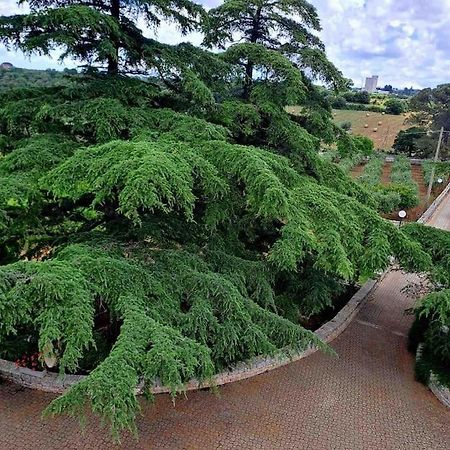 Casina Foggia Dell'Albero Apartment Путиняно Екстериор снимка