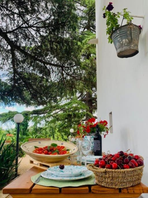 Casina Foggia Dell'Albero Apartment Путиняно Екстериор снимка